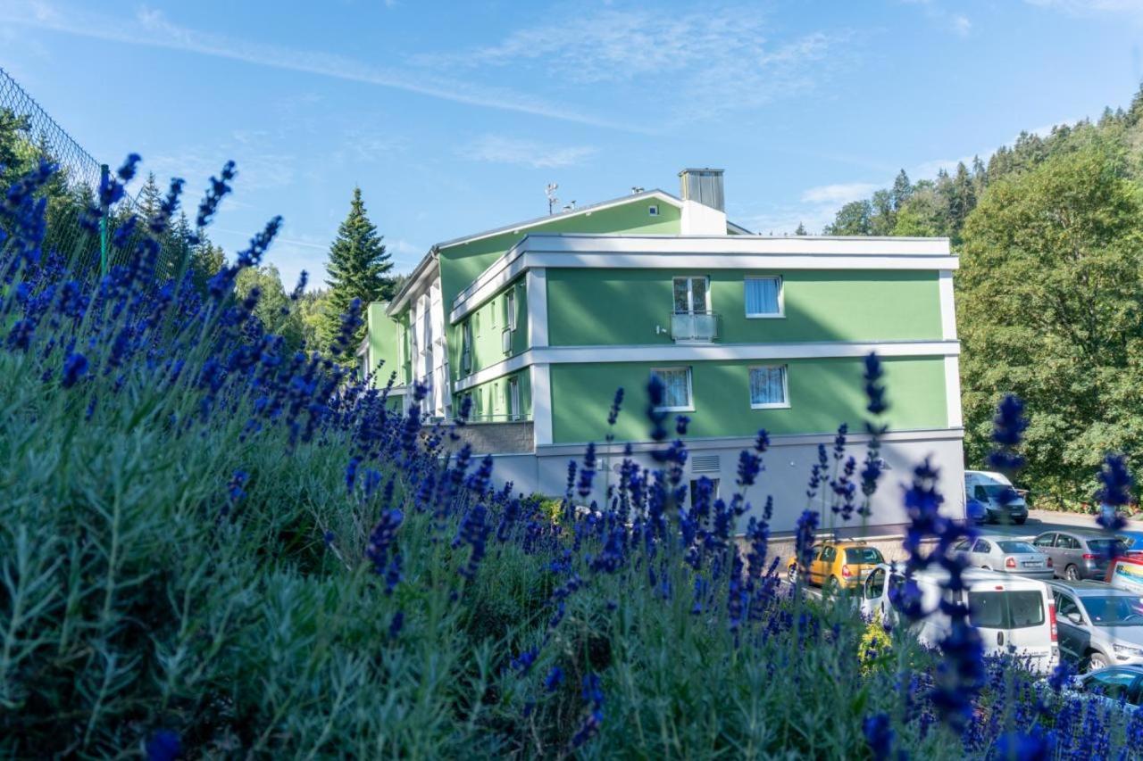Wellness Paradise 4*