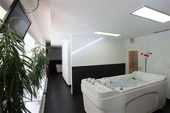 Отель Wellness Paradise Brezova (Karlovy Vary)